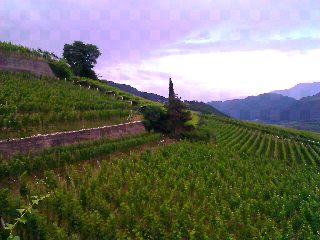 Blogger On The Road - Sulla Strada del Vino