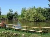 Agriturismo Mulino: Pranzo un'Oasi Verde pochi chilometri Milano..