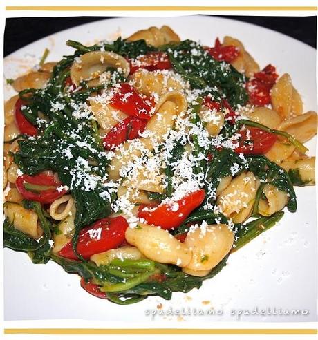 ORECCHIETTE CON RUCOLA SELVATTICA di ZAPPONETA