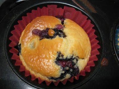 Blueberry Muffins