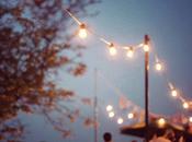 Palmipedone #230 —Adesso—