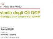 filiera olivicola degli DOP, discute convegno Roma.