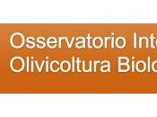 Risorse internet sull'olivicoltura: l'Osservatorio Internazionale sull'Olivicoltura Biologica.