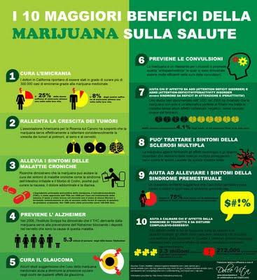 Marijuana e bugie: la demonizzazione di una delle piante più utili all'uomo