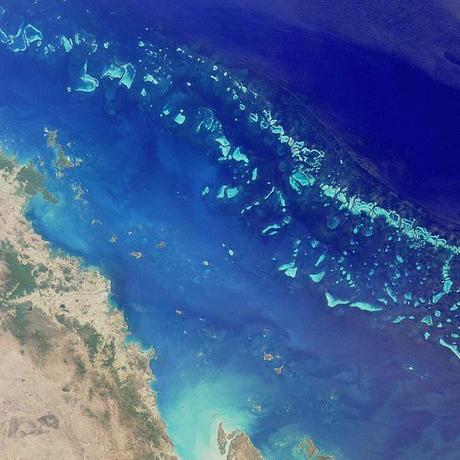 I migliori documentari: Great Barrier Reef la grande barriera corallina australiana. I migliori documentari: Great Barrier Reef la grande barriera corallina australiana.