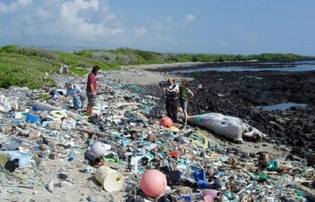 Le peggiori spiagge del mondo: 7 destinazioni da dimenticare Le peggiori spiagge del mondo: 7 destinazioni da dimenticare