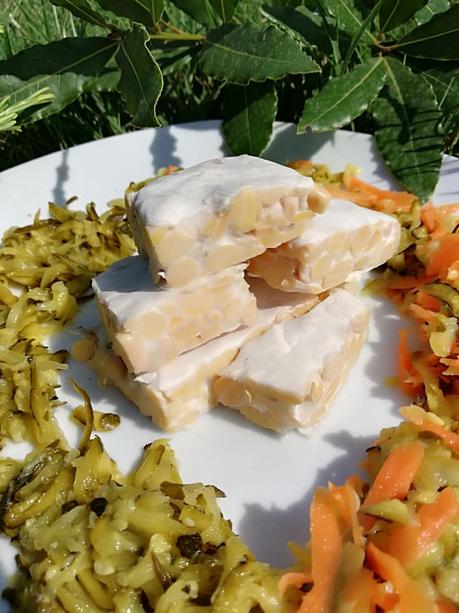 CORSO PRATICO DI VERDURE FERMENTATE E TEMPEH CORSO PRATICO DI VERDURE FERMENTATE E TEMPEH