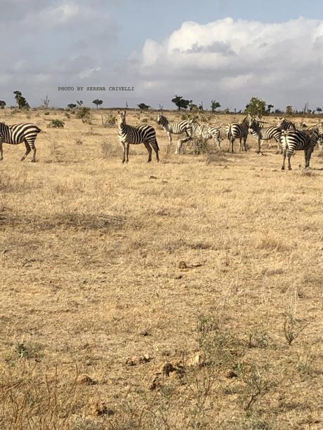 IN GIRO PER… IL KENIA 1949
