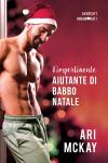 Nuova uscita: 24 dicembre – Un cuore di vetro di Ari McKay L'impertinente aiutante di Babbo Natale
