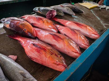 Mangiare alle Seychelles: la guida su piatti tipici, quanto costa, dove e cosa mangiare Mangiare alle Seychelles: la guida su piatti tipici, quanto costa, dove e cosa mangiare