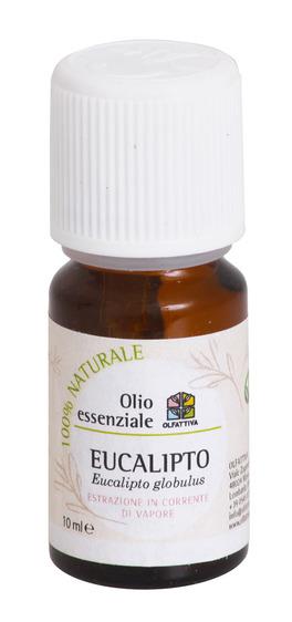 Proprietà degli oli essenziali. Eucalipto - Olio Essenziale