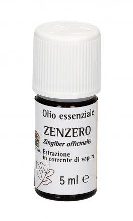 Proprietà degli oli essenziali. Zenzero - Olio Essenziale