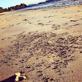 Il Madagascar e ciò che è diverso Il Madagascar e ciò che è diverso