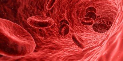 Prevenire i tumori secondo Di Bella cellule