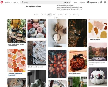 L’autunno è la mia stagione preferita su Pinterest L’autunno è la mia stagione preferita su Pinterest