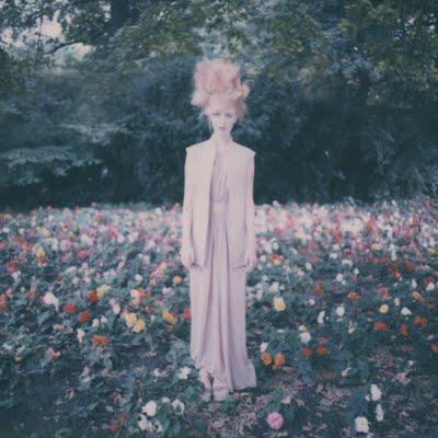 crystin moritz photographer