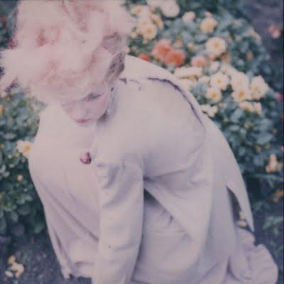 crystin moritz photographer