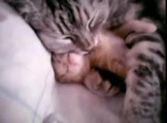 Per la serie... Per la serie...