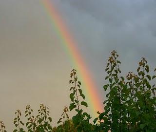 Conferenza sulla PNL