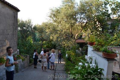 Positano Diwine Food: Una gita a Massa Lubrense