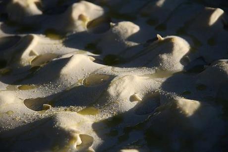 LA FOCACCIA DI RECCO