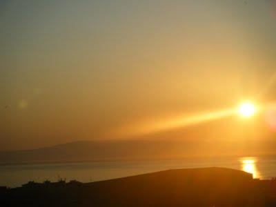 POESIE  IN  VETRINA  :  CHICCHINA