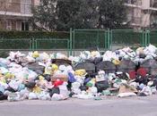 Memorie piscia