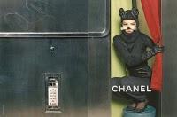 Chanel FW 2011.12 AD Campaign