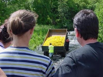 Duck race irlandese