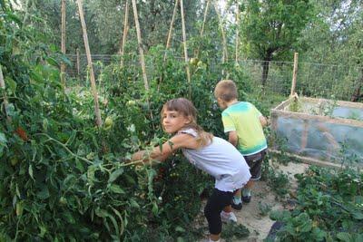 pizza & bocce a Pierino