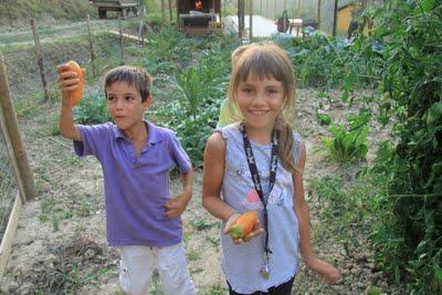 pizza & bocce a Pierino