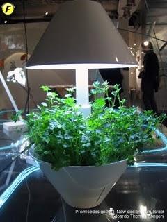 FUORISALONE | Oggetti green