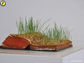 FUORISALONE | Oggetti green