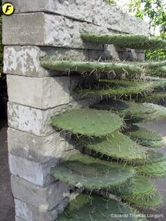 FUORISALONE | Oggetti green