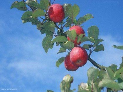 L’AGRICOLTURA E’ GIOVANE