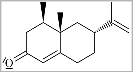 EasyChem programma  disegno di molecole e formule chimiche 2D di alta qualità.