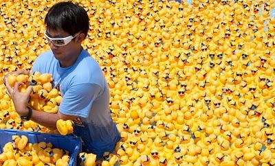 Duck race texana