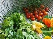 soddisfazione provoca raccolta frutti proprio orto qualcosa inebriante