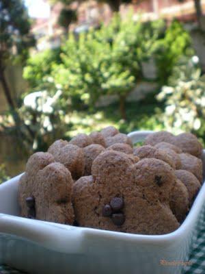 Biscotti al caffè e cacao