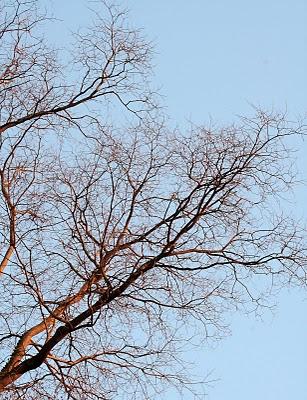 CercarsiCercarsi, tra chiari contorni del giornoe allunga...