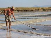 CERVIA, ANTICA CITTA' SALEStà iniziare rito ch...