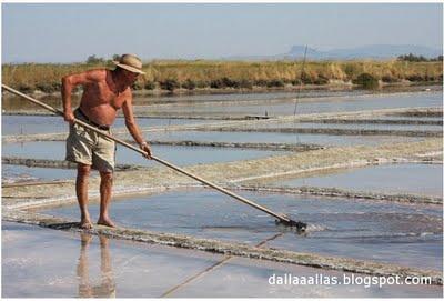 CERVIA, ANTICA CITTA' DEL SALEStà per iniziare un rito ch...