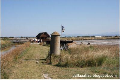 CERVIA, ANTICA CITTA' DEL SALEStà per iniziare un rito ch...