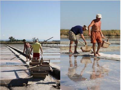 CERVIA, ANTICA CITTA' DEL SALEStà per iniziare un rito ch...