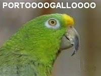 Portoooogalloooo...