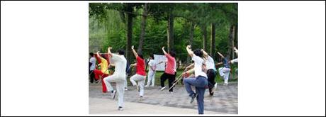 Roma : lezioni di Tai-Chi gratuite