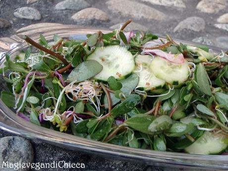 Insalata di Portulacca