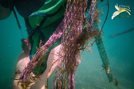 La pesca sul Gargano è sempre più abbondante...di plastica! La pesca sul Gargano è sempre più abbondante...di plastica!