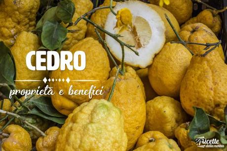 Cedro: proprietà, benefici e controindicazioni cedro