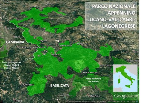 La fauna del parco appennino-lucano, vasto sistema di aree protette. La fauna del parco appennino-lucano, vasto sistema di aree protette.